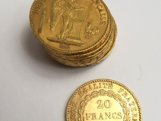 10 pièces 20 francs or. Frais acheteur 5 % TTC