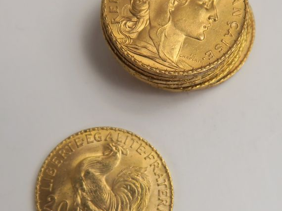 10 pièces 20 francs or. Frais acheteur 5 % TTC