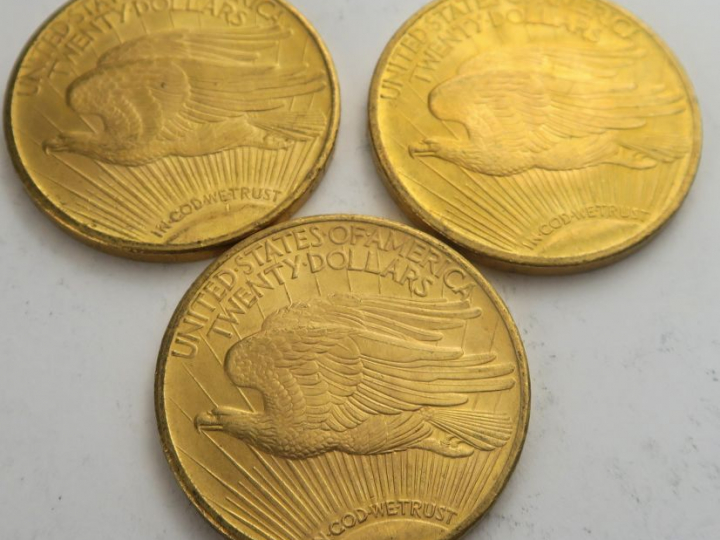 3 pièces de 20 dollars or 1924. Frais acheteur 20 % TTC