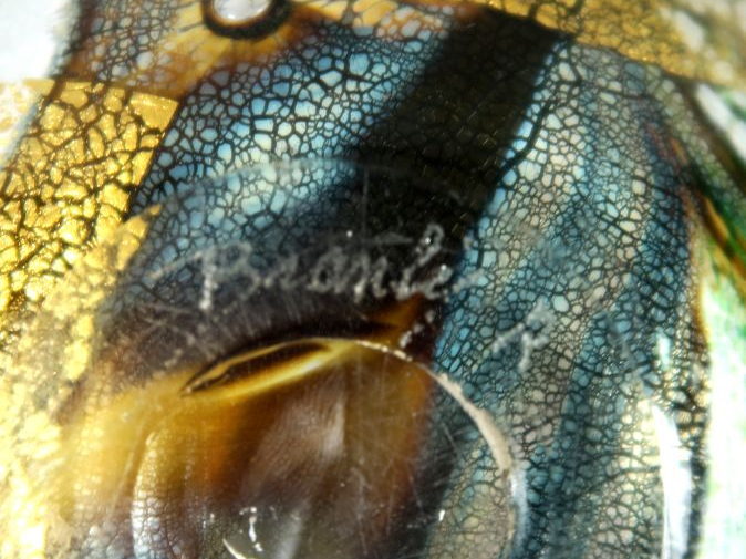 Raymond BRANLÉ.  Vase ovoïde en verre, à décor de motif floral stylisé