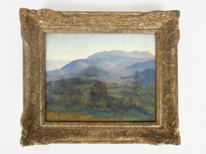 Cécile Patrice BONNET  "Paysages de montagne" Deux huiles sur panneau.