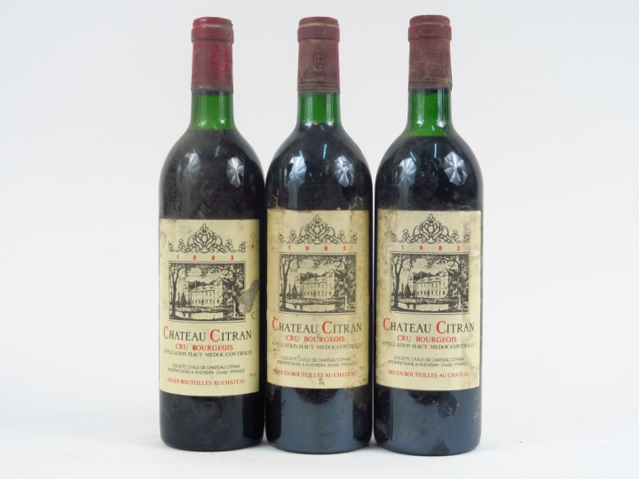 3 BOUTEILLES CHÂTEAU CITRAN CB HAUT MEDOC - 1983 - 1 BG/1 LB/1 HEP