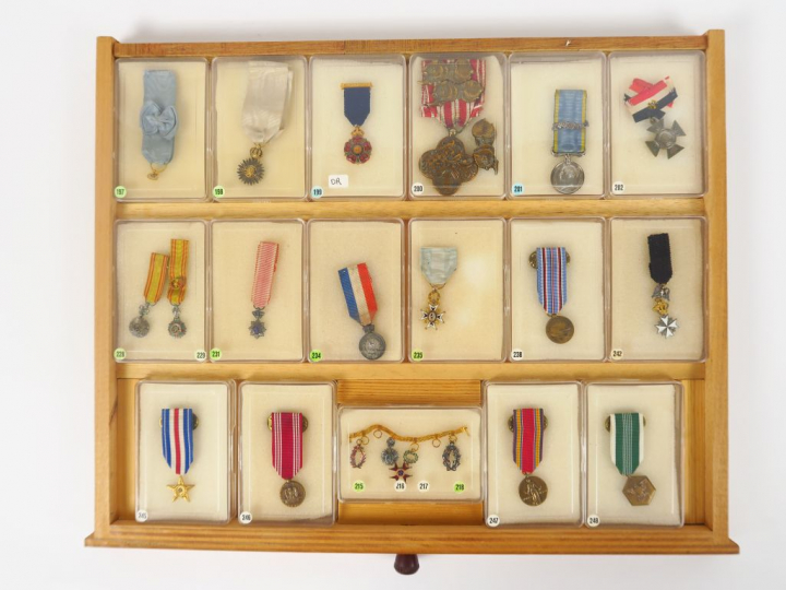 Extraordinaire collection de plus de 130 réductions de décorations tan