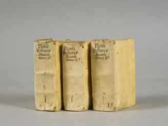 Vente aux enchères PLINE Le Jeune. Historiae Mundi Libri XXXVII. A Sigismundo Gelenio sum