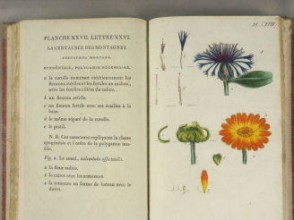 Vente aux enchères [ROUSSEAU]. Recueil de plantes coloriées pour servir à l'intelligence 
