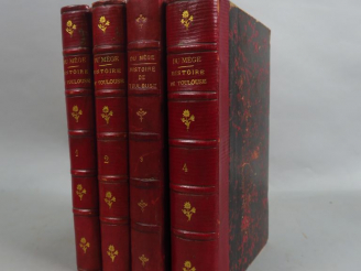 Vente aux enchères DUMÈGE (Chevalier Al.). Histoire des Institutions religieuses, politiq
