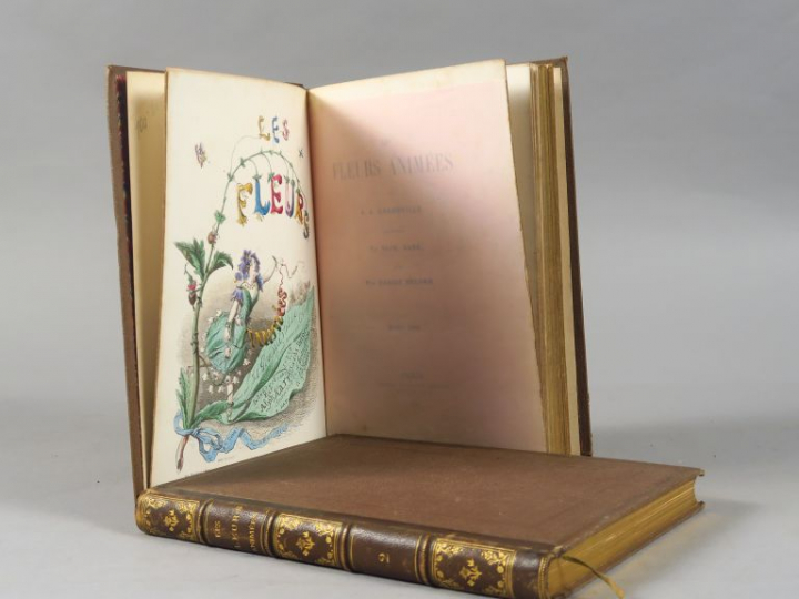 GRANDVILLE (J.J). Les Fleurs animées. Introduction par Alph. Karr. Tex
