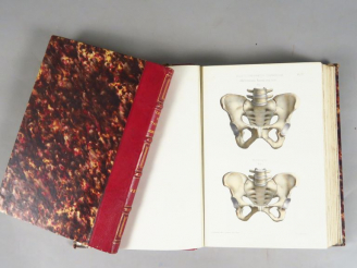 Vente aux enchères LENOIR (A. ) -SEE (Marc) - TARNIER (S.). Atlas complétementaire de tou