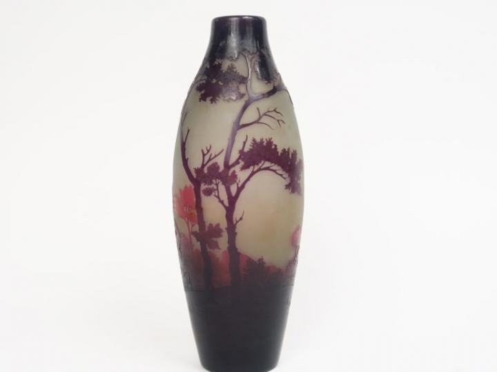 D'ARGENTAL. Vase ovoïde en verre, à décor gravé en camée et à l'acide,