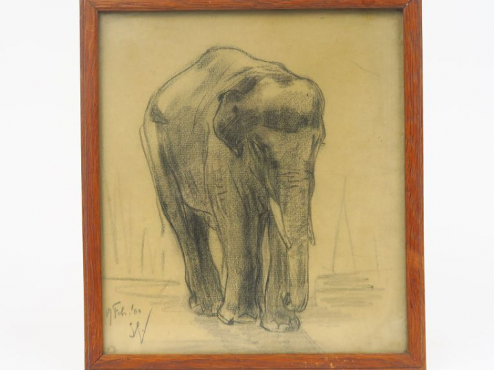 Ecole française XXème  "Elephant" Dessin au crayon.  Signé en bas à ga