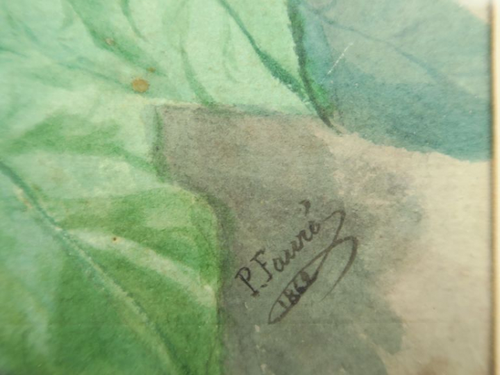 P. FAURE  "Bouquet de fleurs" Aquarelle.  Signée en bas à droite et da