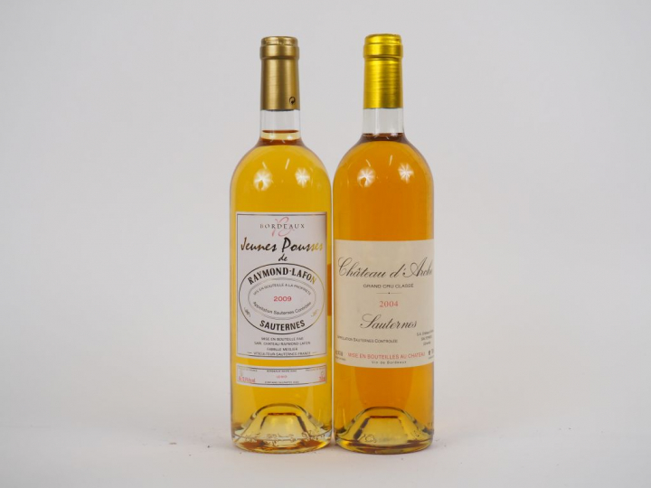 2 BOUTEILLES SAUTERNES : 1 CHÂTEAU D'ARCHE CC 2004 - 1 JEUNES POUSSES 