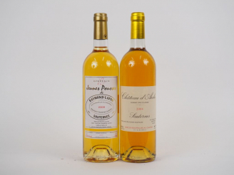 Vente aux enchères 2 BOUTEILLES SAUTERNES : 1 CHÂTEAU D'ARCHE CC 2004 - 1 JEUNES POUSSES 