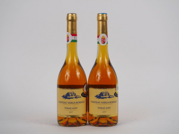 2 BOUTEILLES TOKAJI ASZU 5 PUTTONYOS CHÂTEAU SARGA BORHAZ - 2007