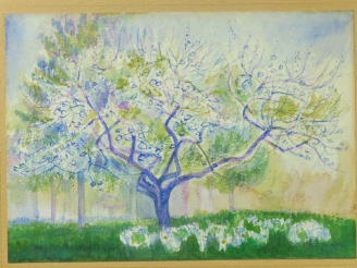 Vente aux enchères A. TRACHSEL.   "Amandier en fleurs" Aquarelle, signée en bas à droite.