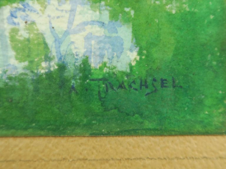 A. TRACHSEL.   "Amandier en fleurs" Aquarelle, signée en bas à droite.