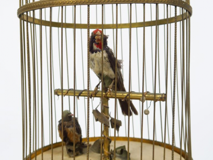 Cage à oiseaux automates. H. : 53 cm. (mauvais état)