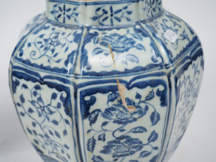 Deux vases bleu blanc de forme balustre et hexagonale, à décor de phoé