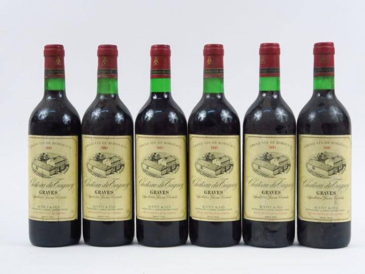 6 BOUTEILLES CHÂTEAU DU TEIGNEY GRAVES - 1981 - BG