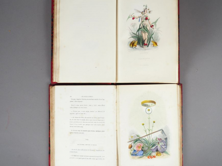 JJ. GRANDVILLE. Les fleurs animées. Texte par A. Karr, Taxile Delord e