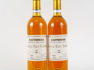 Vente aux enchères 2 BOUTEILLES CHÂTEAU HAUT BOMMES SAUTERNES - 1995