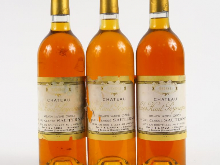 3 BOUTEILLES CHÂTEAU CLOS HAUT PEYRAGUEY 1er CC SAUTERNES - 1996 - 1 E