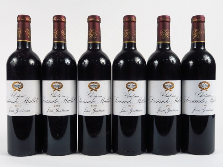 6 BOUTEILLES CHÂTEAU SOCIANDO MALLET HAUT MEDOC - 2004