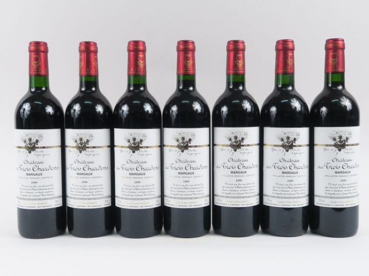 7 BOUTEILLES CHÂTEAU DES TROIS CHARDONS MARGAUX - 1999