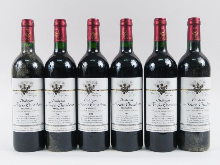 6 BOUTEILLES CHÂTEAU DES TROIS CHARDONS MARGAUX - 2001