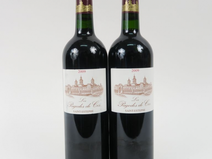 2 BOUTEILLES LES PAGODES DE COS ST ESTEPHE -2009