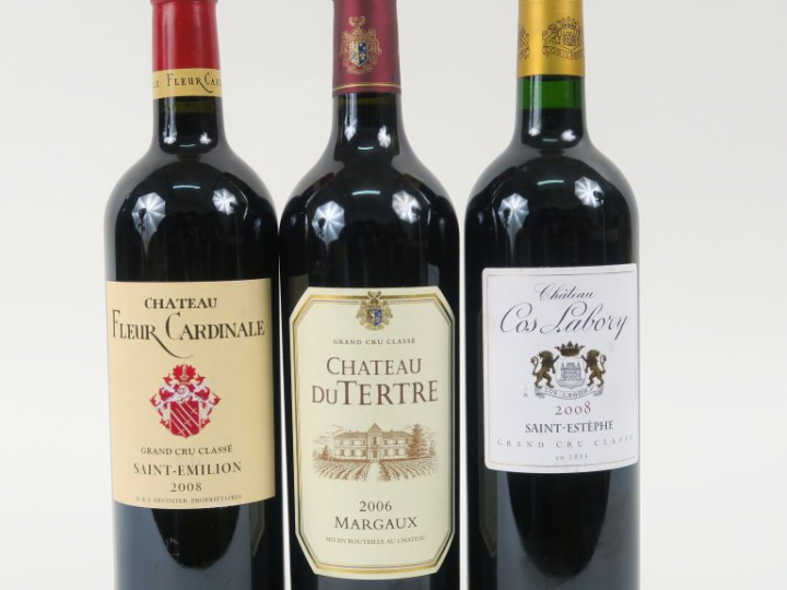 3 BOUTEILLES : 1 CHÂTEAU DU TERTRE GCC MARGAUX 2006 - 1 CHÂTEAU FLEUR 