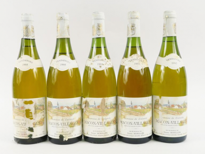 6 BOUTEILLES MACON VILLAGE DOMAINE DE LALANDE MORILLON - 1995