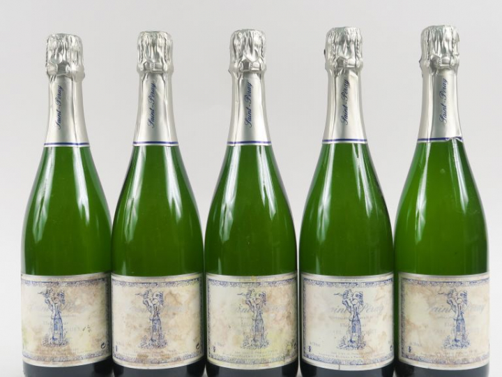 5 BOUTEILLES SAINT PERAY BRUT 