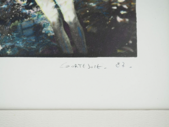 Jacques COURTEJOIE. "Sans titre". Photographie. Tirage argentique. Sig