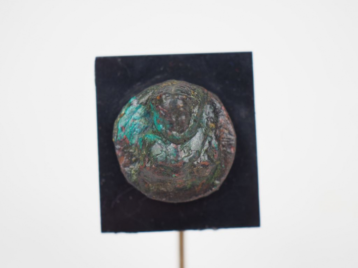 Bras de statuette, buste en médaillon et quadrupède en bronze. Période