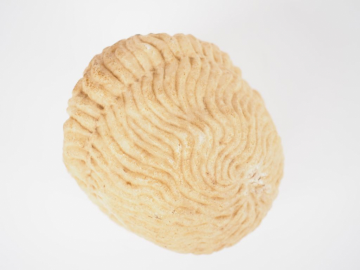 Tête d’homme en pierre. Antiquité tardive ? Marbre ?  Dim. : 12 x 11 c