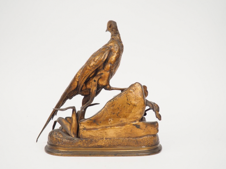 J. MOIGNEZ "Faisan" Sujet en bronze à patine médaille. Signé. 33,5 x 3