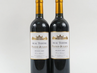 Vente aux enchères 2 BOUTEILLES BEAU TERTRE SAINT JULIEN - 2009