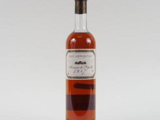 Vente aux enchères 1 BOUTEILLE (50 CL) BAS ARMAGNAC MARQUIS DE PAPOLLE - 1987