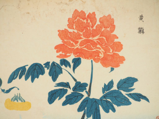 Vente aux enchères KEISAI (1761-1824)  Deux estampes oban yoko-e d’oiseaux et fleurs.  On