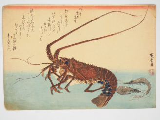 Vente aux enchères HIROSHIGE (1797-1858) Estampe oban yoko-e de la « Grande série des poi