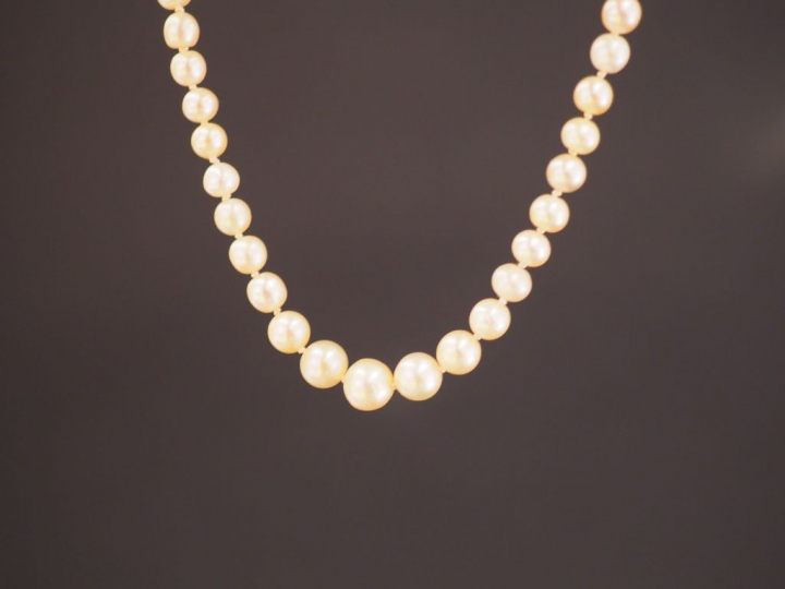 Collier de perles fines.  Fermoir en forme de marguerite ornée en son 