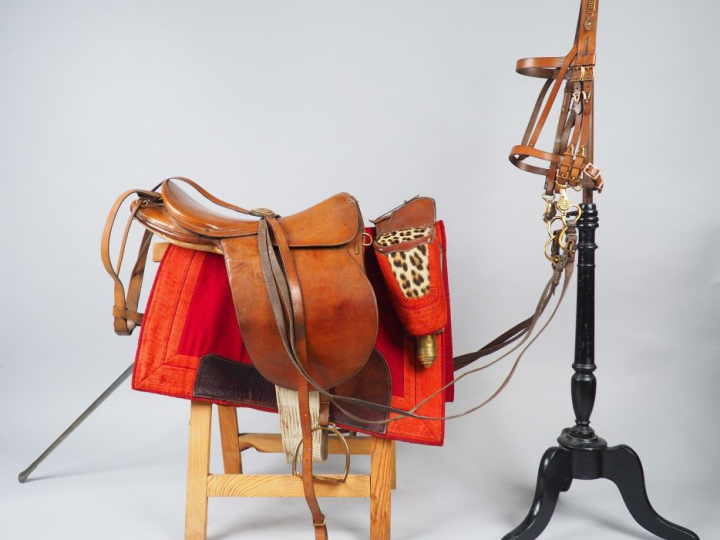 Rare ensemble ayant appartenu au général de Roig- Bourdeville. On y tr