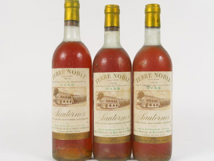 3 BOUTEILLES TERRE NOBLE SAUTERNES - 1976 - 2 BG/1 HEP