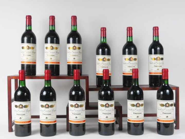 12 BOUTEILLES CHÂTEAU CROIZET BAGES GCC PAUILLAC - 1982 - CBO - 10 BG/