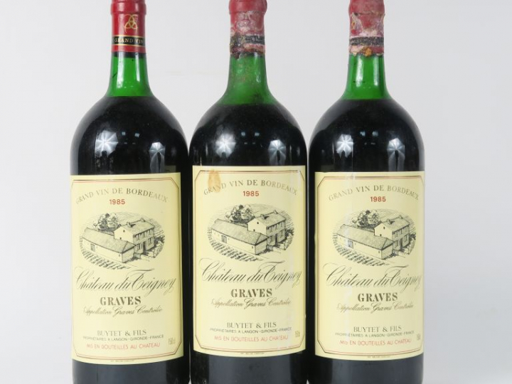 3 MAGNUMS CHÂTEAU DU TEIGNEY GRAVES - 1985 - 1 BG/1 LB/1 HEP