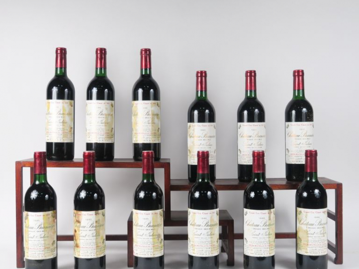 12 BOUTEILLES CHÂTEAU BRANAIRE GCC ST JULIEN - 1985 - CBO -  10 BG/2 L