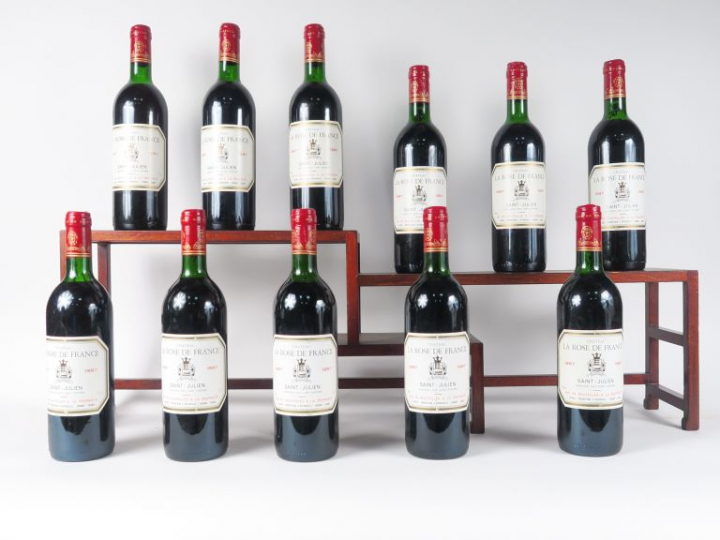 11 BOUTEILLES CHÂTEAU LA ROSE DE France ST JULIEN - 1987 - LB