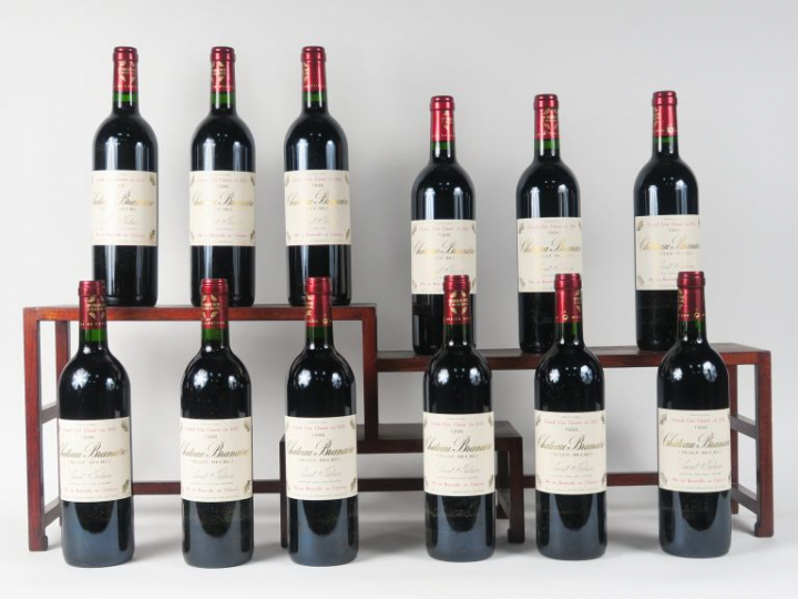 12 BOUTEILLES CHÂTEAU BRANAIRE DUCRU GCC ST JULIEN - 1996 - CBO