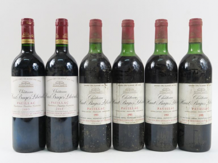 6 BOUTEILLES CHÂTEAU HAUT BAGES LIBÉRAL GCC PAUILLAC : 2 de 2003 - 4 d